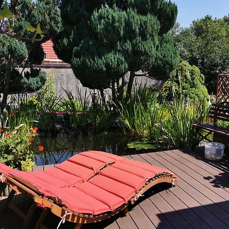 Müllrose Ferienhaus Mit Mediterraner Terrasse מראה חיצוני תמונה